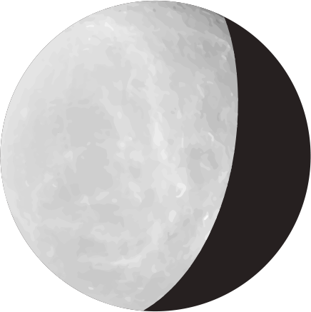 Illustration de la lune Rhéa dans son dernier quartier d'un gris très clair.
